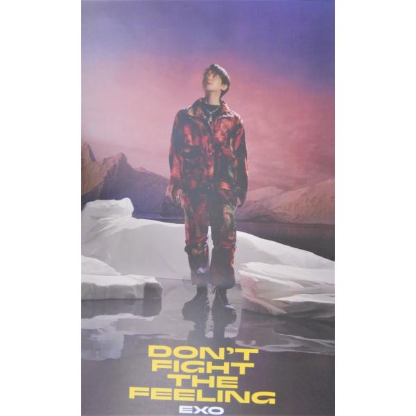 EXO スペシャルアルバム DON&apos;T FIGHT THE FEELING (Photo Book ...