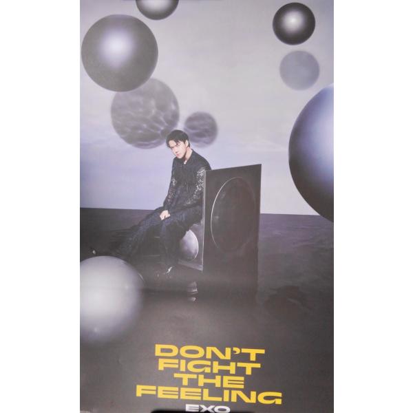 EXO スペシャルアルバム DON&apos;T FIGHT THE FEELING (Photo Book ...