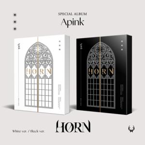 Apink スペシャルアルバム HORN CD (韓国盤)｜scriptv