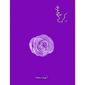 ブファル 13集 Purple Wave CD 韓国盤｜scriptv