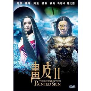 畫皮II 2012 DVD 香港版（輸入盤）｜scriptv