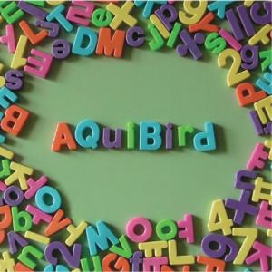 Aquibird アキバード やっと分かった CD 韓国盤｜scriptv
