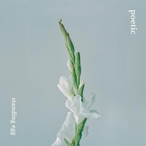 Standing Egg ミニアルバム POETIC CD (韓国盤)｜scriptv
