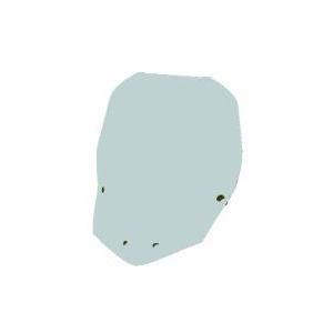 aprilia純正 TUONO660専用ハイスクリーン（TUONO660専用） : SCSウェブ