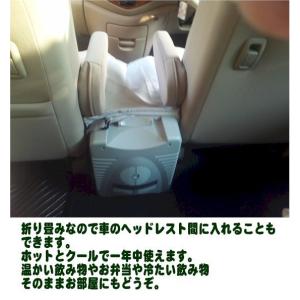 冷温庫 業界初 クーラーボックス 折りたたみ ...の詳細画像3