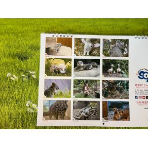 【値下げしました!】2026A4オリジナルカレンダーの詳細画像1