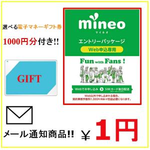 デュアルタイプ限定!!【ギフト:1000円分付き...の商品画像