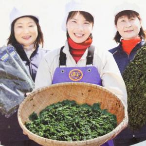 鹿児島県産 1等級 あおさのり 80g ★メー...の詳細画像3