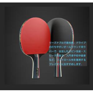 卓球ラケット シェークハンド 7枚合板 保護フ...の詳細画像5