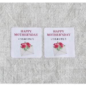 母の日シール＊カーネーション 　Happy  Mother's Day　いつもありがとう　3cm正方形　40枚　赤＊NO.1300｜se-label