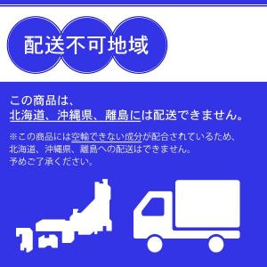 パストリーゼ 500 ヘッド付 500ml ア...の詳細画像4