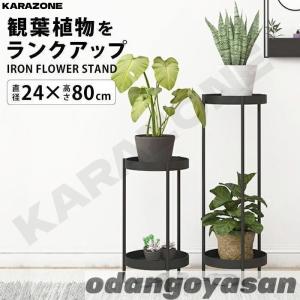 フラワースタンド アイアン製 ゴールド プランタ...の商品画像