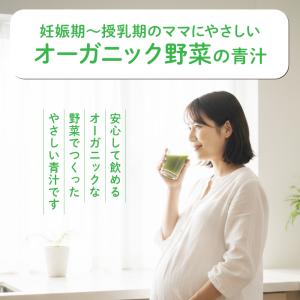 おいしい葉酸青汁 SP3-01 | ベビースマ...の詳細画像1
