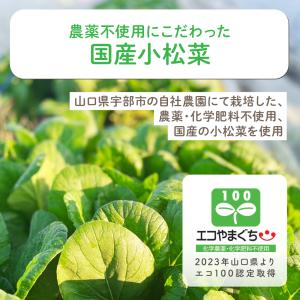 おいしい葉酸青汁 SP3-01 | ベビースマ...の詳細画像2