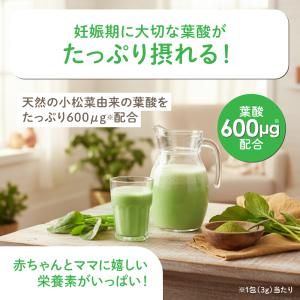 おいしい葉酸青汁 SP3-01 | ベビースマ...の詳細画像3