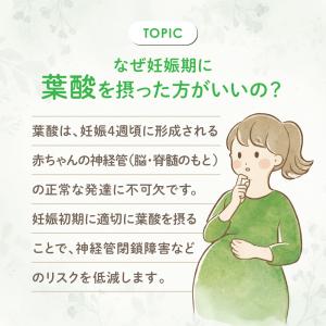 おいしい葉酸青汁 SP3-01 | ベビースマ...の詳細画像4