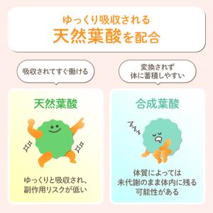おいしい葉酸青汁 SP3-01 | ベビースマ...の詳細画像5