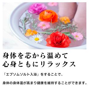 公式 エプソムソルト オリジナル 900g シ...の詳細画像3