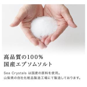 公式 エプソムソルト オリジナル 900g シ...の詳細画像4