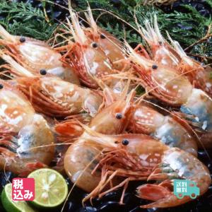 北海産　刺身用　ぼたん海老　　Ｌ子持　1ｋｇ　約１８...