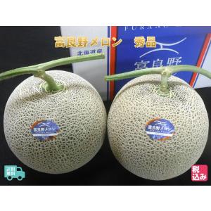 北海道 ふらの産　富良野メロン　秀品２玉　３．２ｋｇ　高糖度　富良野レッドメロンの逸品【送料無料】