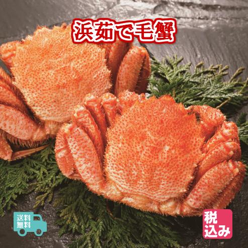 北海道産　浜茹　毛蟹　２ハイ　約８００ｇ　　送料無料！！