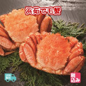 北海道産　浜茹　毛蟹　２ハイ　約８８０ｇ　送料無料！！