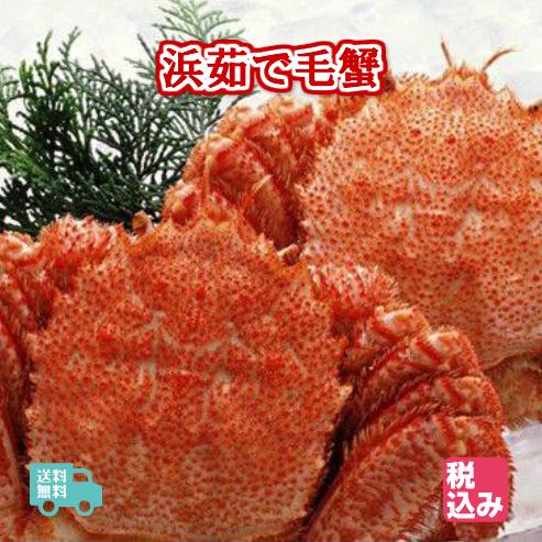 北海道産　浜茹　毛蟹　２ハイ　約１．１ｋｇ　送料無料！！