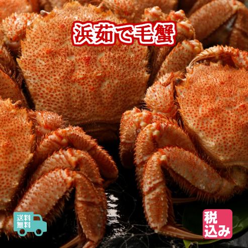 北海道産　浜茹　毛蟹　３ハイ　約１．２ｋｇ  　送料無料！！