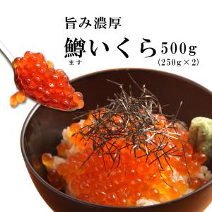 【今だけ14%OFF4/16まで！】ますいくら 500g  2024 プ...