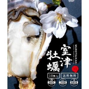 生牡蠣 生食用 殻付き 10個入り 兵庫県産  御中元 お中元 60代 70代 2025 ギフト プレゼント 贈り物  国産