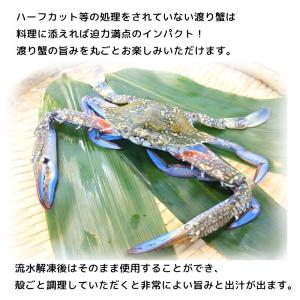 ワタリガニ 渡り蟹 約100g ラウンド わた...の詳細画像3