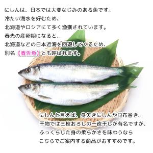 にしん 干物 約30cm 子持ち ニシン 一汐...の詳細画像2
