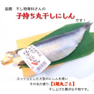 にしん 干物 約30cm 子持ち ニシン 一汐...の詳細画像3