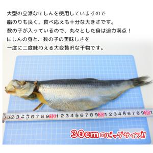 にしん 干物 約30cm 子持ち ニシン 一汐...の詳細画像5