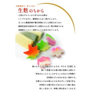 生麩 カット 青 もみじ麸 25切れ 冷凍 ス...の詳細画像4