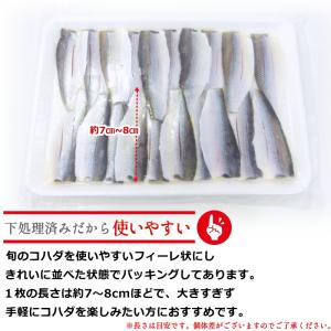 コハダの酢じめ 小肌 フィーレ 20枚入 (6...の詳細画像5