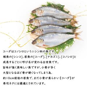 コハダの酢じめ 小肌 フィーレ 20枚入 (6...の詳細画像3