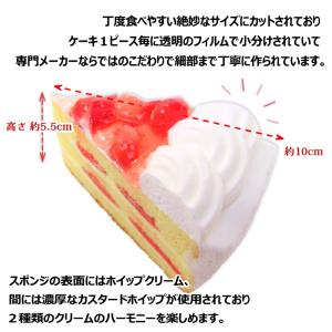 苺 ショート ケーキ 6個入り 360g 7号...の詳細画像3