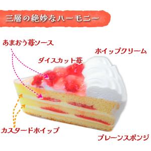 苺 ショート ケーキ 6個入り 360g 7号...の詳細画像5