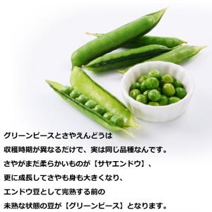 グリーンピース 冷凍 1kg 豆 まめ マメ ...の詳細画像3