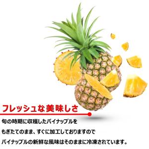 パイナップル 冷凍 500g 冷凍フルーツ カ...の詳細画像2