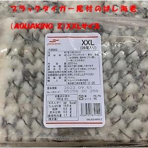 ブラックタイガー尾付のばし海老（AQUAKING Z）XXLサイズ　