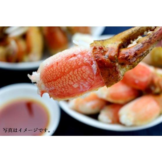 カニ爪（ズワイ）700g 26/30 3L　解凍してそのまま　フライ　バーベキュー