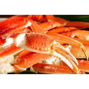 カニ爪(ズワイ)700g 26/30 3L 解...の詳細画像5