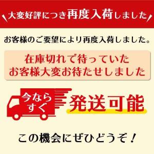 ワークキャップ メンズ メッシュ レディース ...の詳細画像5