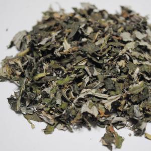 よもぎ茶 500g 5mm刻み 2025年収穫...の詳細画像2