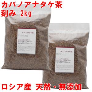 4本セット】ビオライズ リナーシェ ドリンク ビオエンザイム 500ml R菌