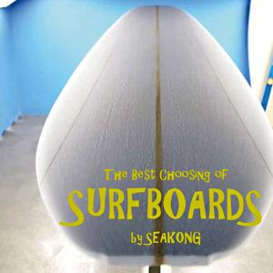 2025年11月】キャッチサーフ（ロングボード）のおすすめ人気