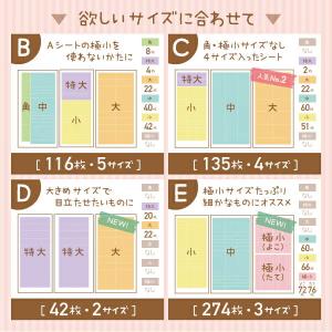 お名前シール 防水 小学校 クラス名 漢字対応...の詳細画像5